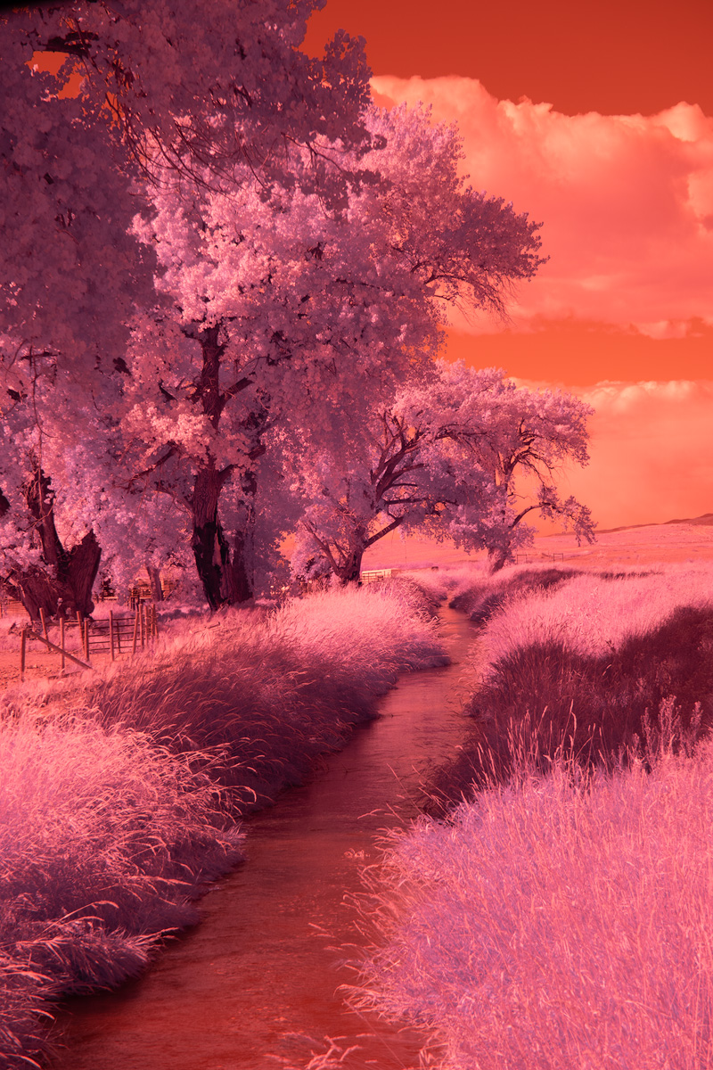 Test-Sample-1.jpg