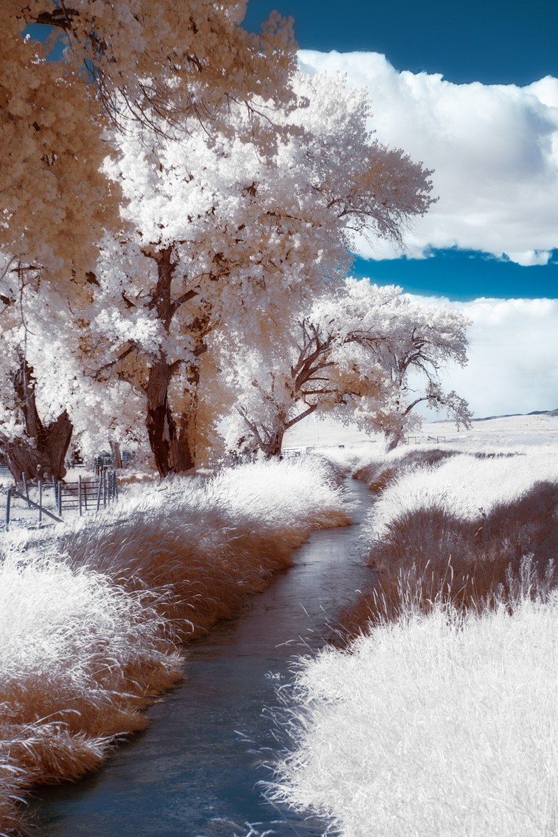 Test-Sample-4.jpg