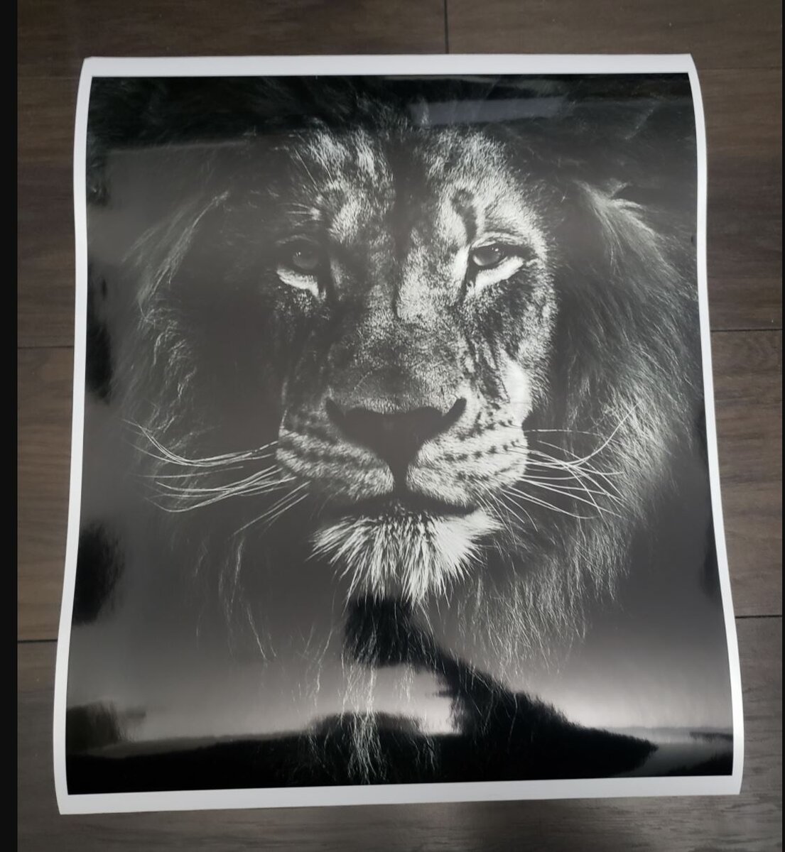TestPrint.JPG