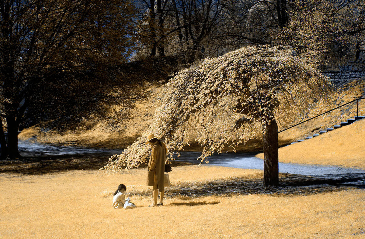 The Joy of Youth and Springtime.jpg
