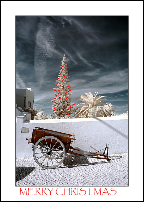 TheChristmasTreeIR.jpg