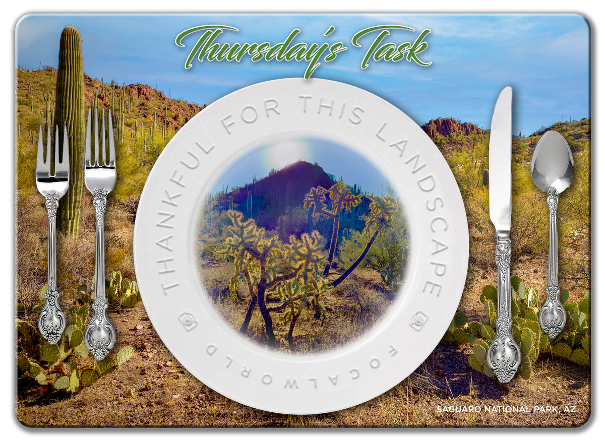 Thursday’s Task 11-28-24-2.jpg