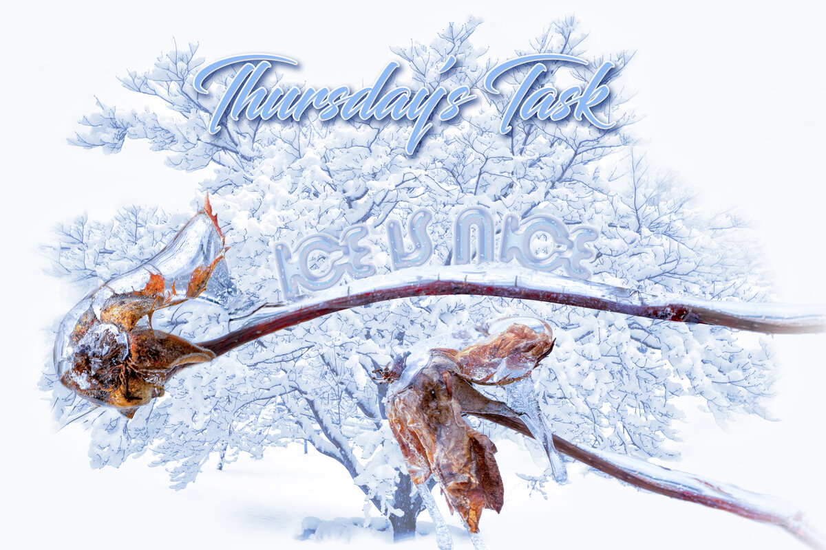 Thursday’s Task 12-12-24-2.jpg