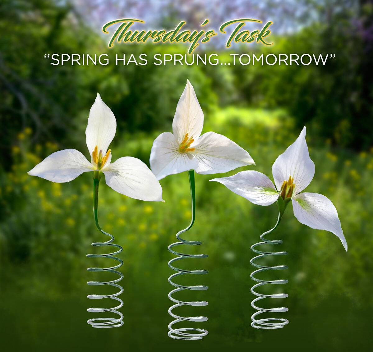 Thursday’s Task 3-19-26-2.jpg