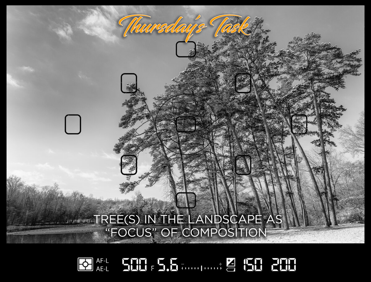 Thursday's Task 1-2-25-2.jpg