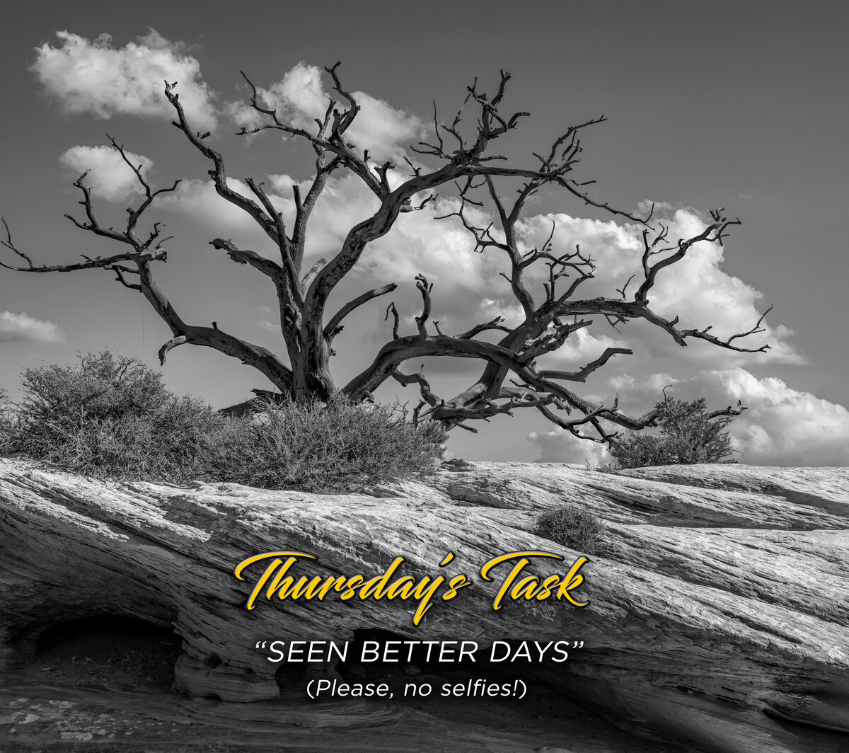 Thursday's Task 11-21-24-2-Edit.jpg