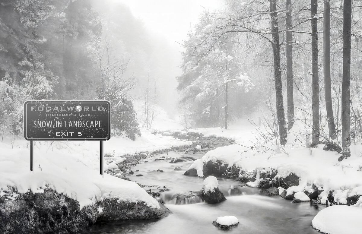 Thursday's Task 12-11-25-2.jpg