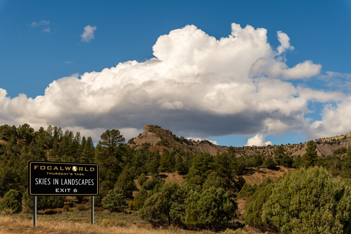 Thursday's Task 12-18-25.jpg