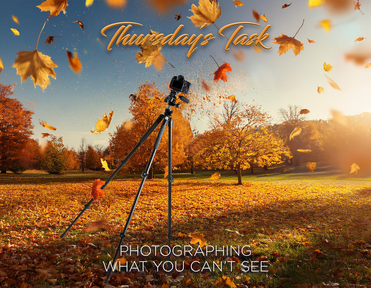 Thursday’s Task | Focal World