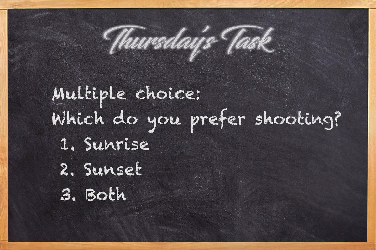 Thursday's Task 2-22-24-2.jpg