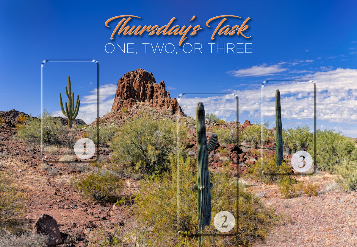 Thursday’s Task | Focal World