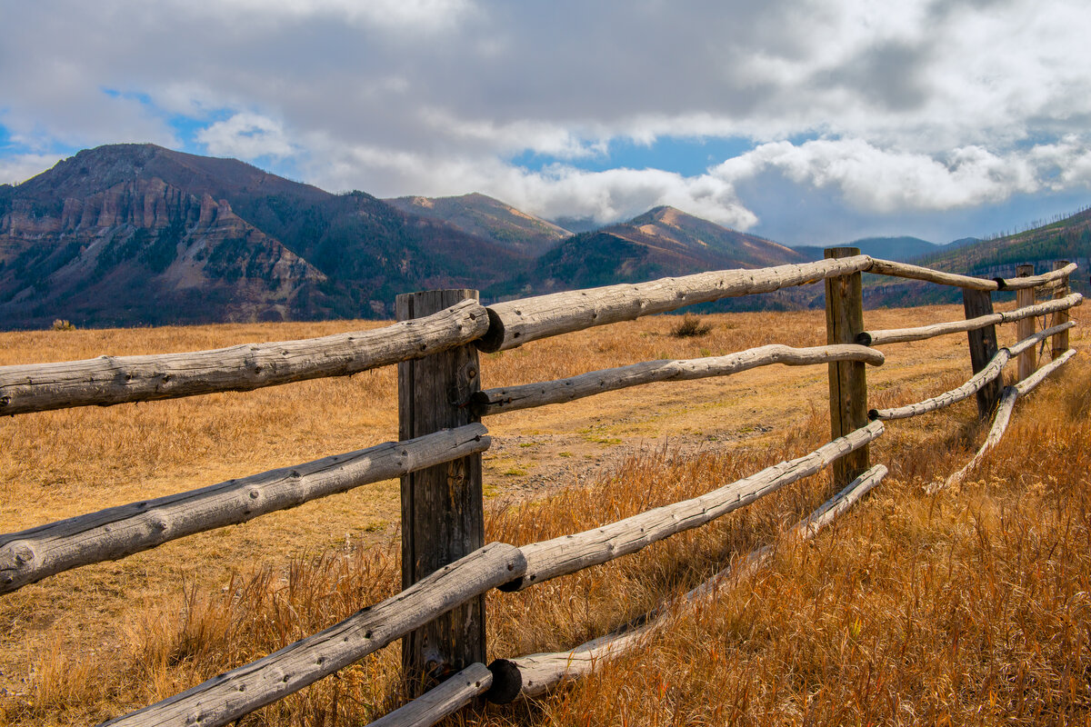 Thusday's Task fence image-2.jpg