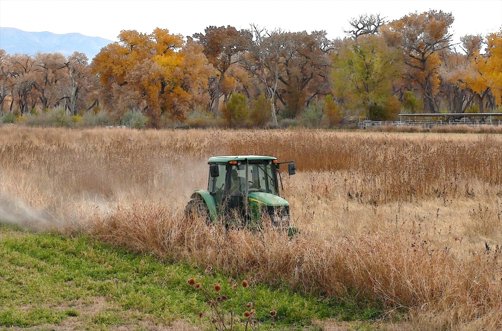 tractor.jpg