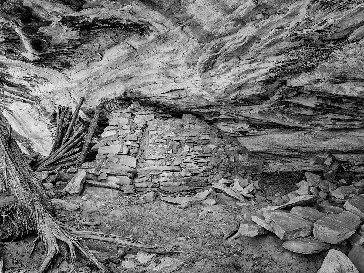 Tree,-timbers-&-ruinNikBW.jpg