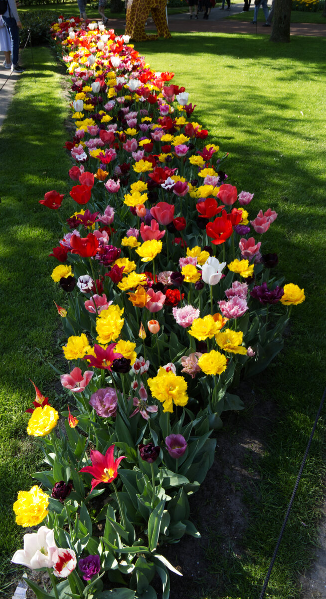 Tulip_Festival_12.jpg