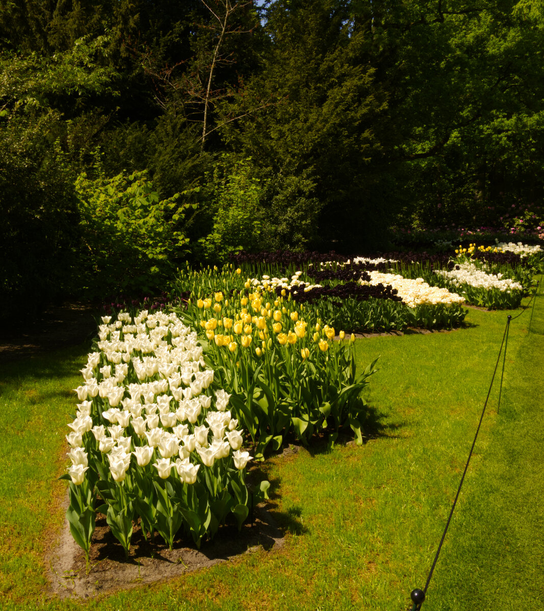 Tulip_Festival_33.jpg