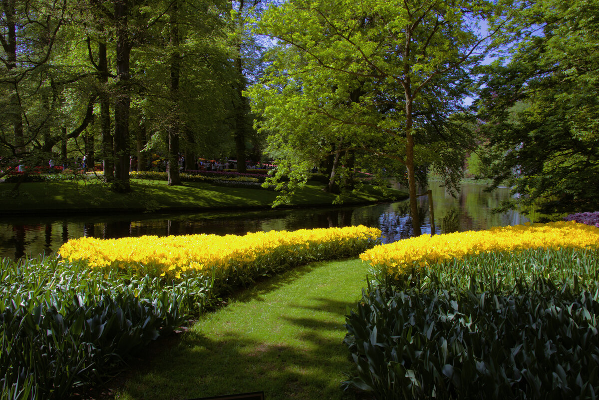 Tulip_festival_35.JPG