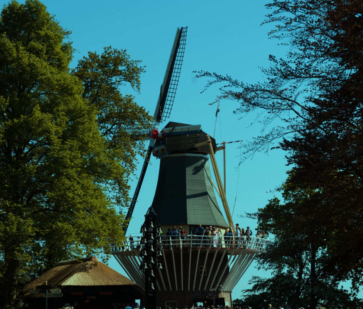 Tulip_Festival_windmill.1.jpg