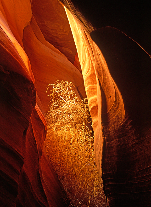 tumbeweed canyon I.jpg