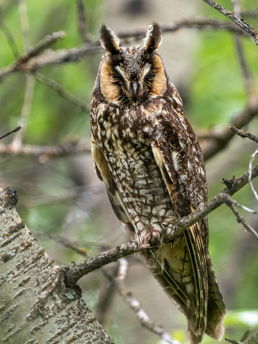 TW291220-Edit.jpg