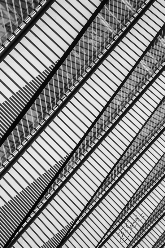 TwistedComposite.JPG