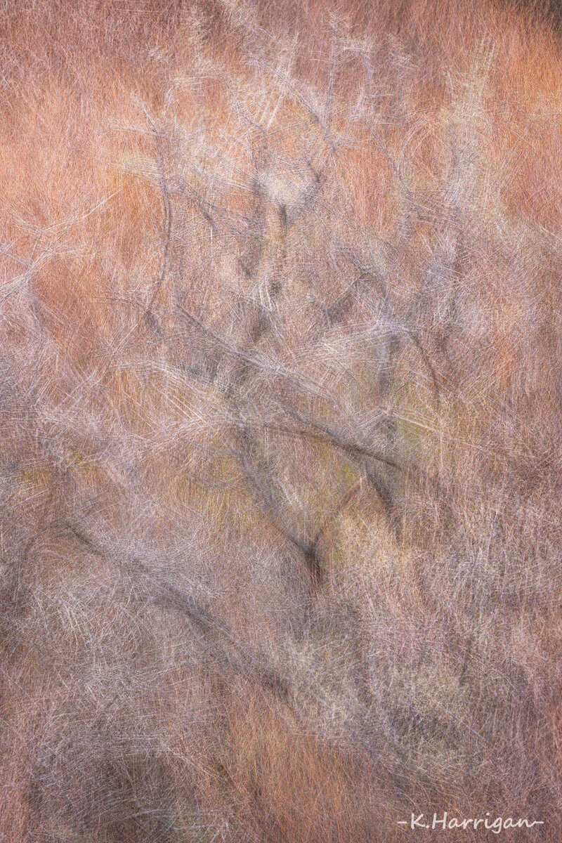 Untitled-1 copy 8.jpg