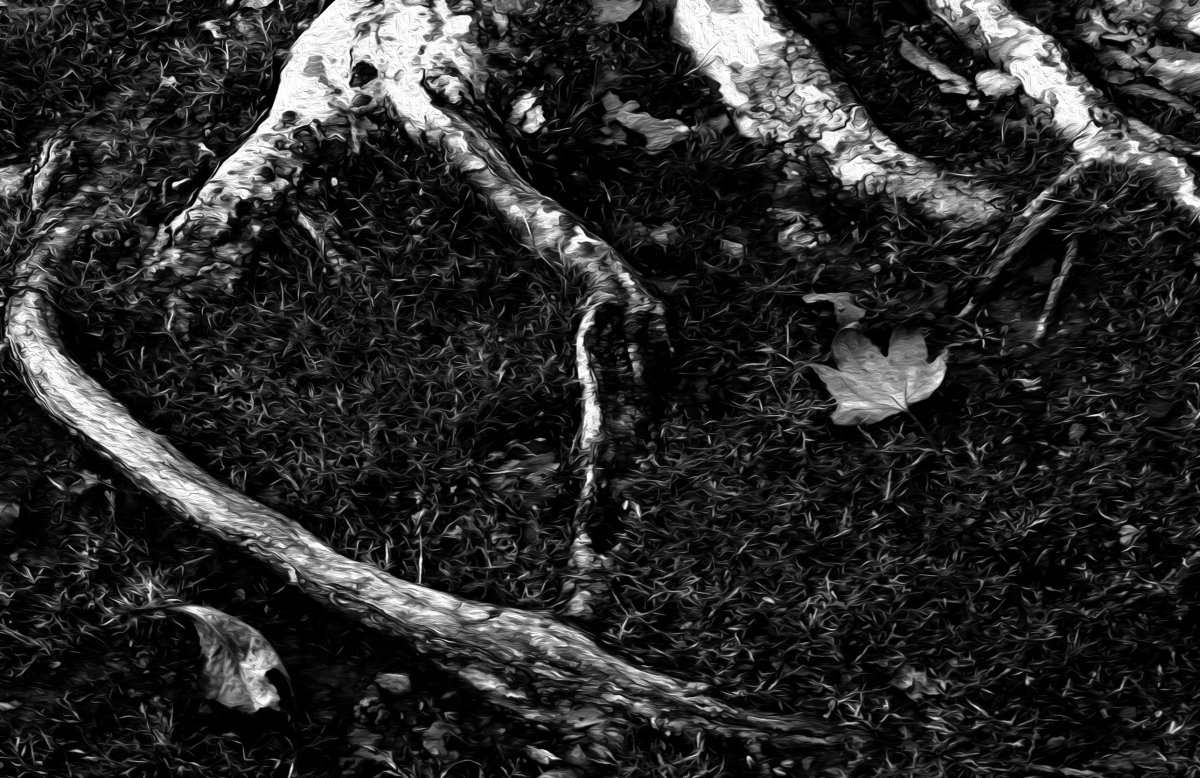 Untitled-1.jpg
