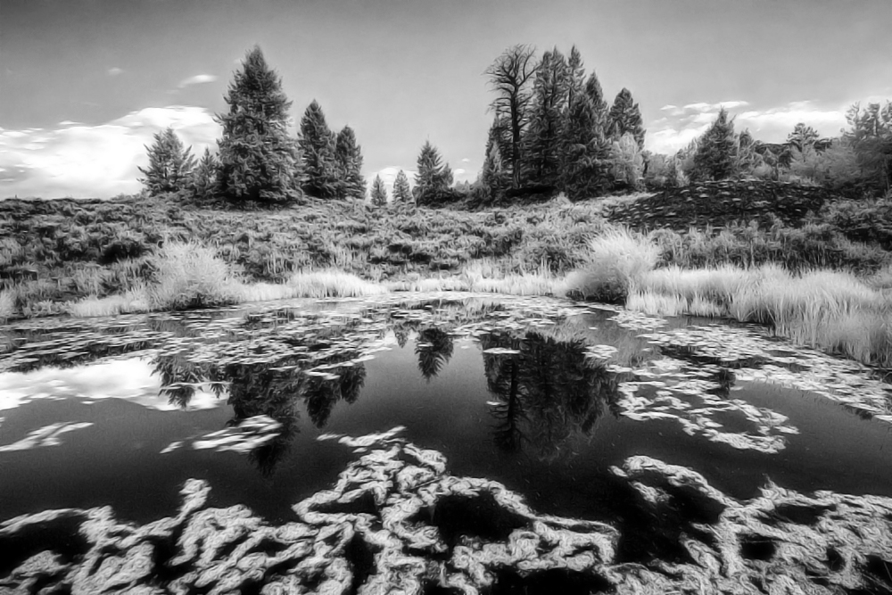 Untitled-2.jpg