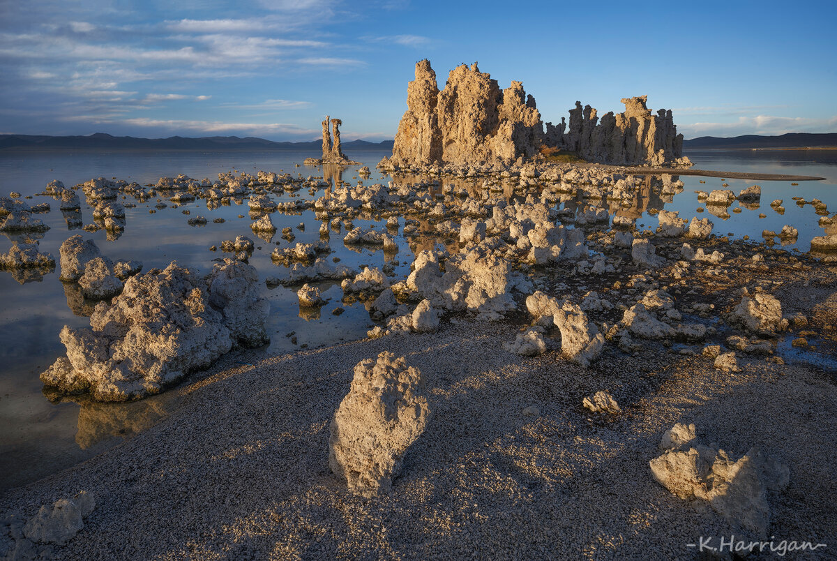 Untitled-2-sharpened.jpg