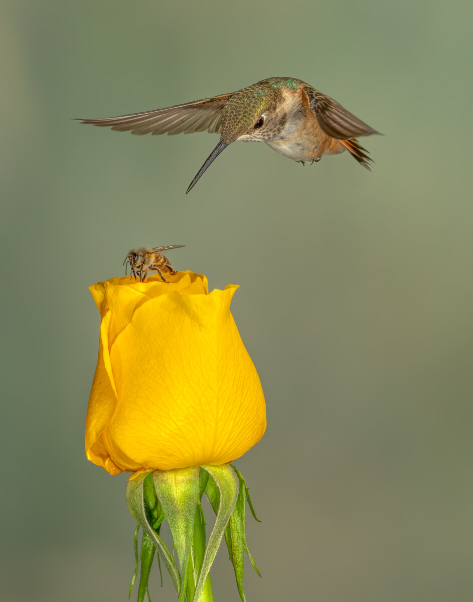 untitled-8860-Edit-Edit.jpg