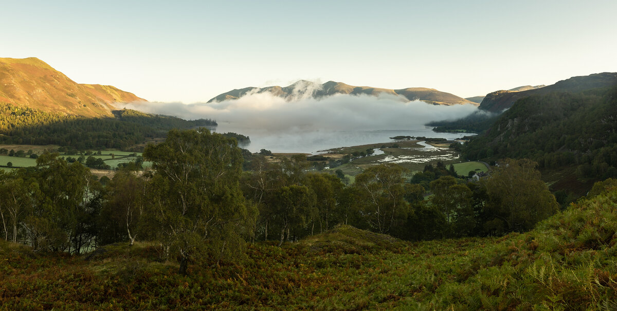 Untitled_Panorama-1.jpg
