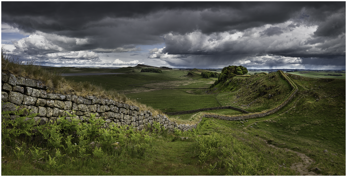 Untitled_Panorama-1c white stroke-1.png
