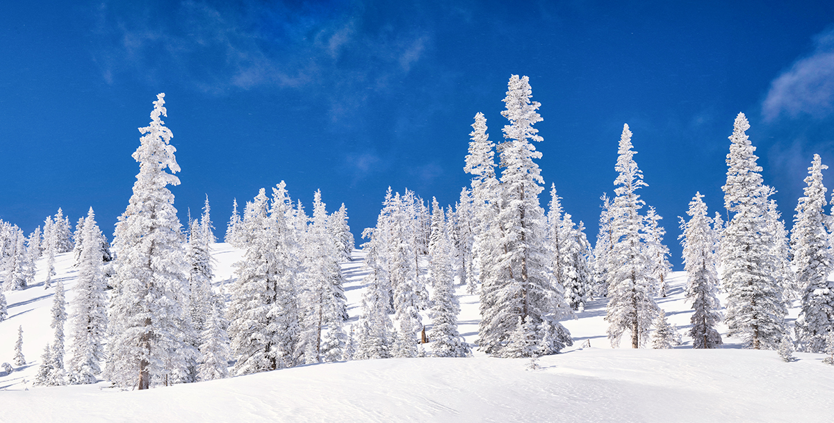 Untitled_Panorama-2 copy 2.jpg