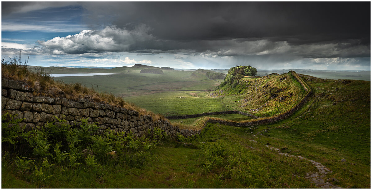 Untitled_Panorama-2c white stroke.jpg