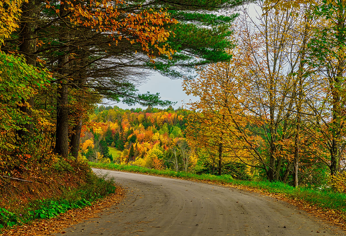 vermont road-2.jpg