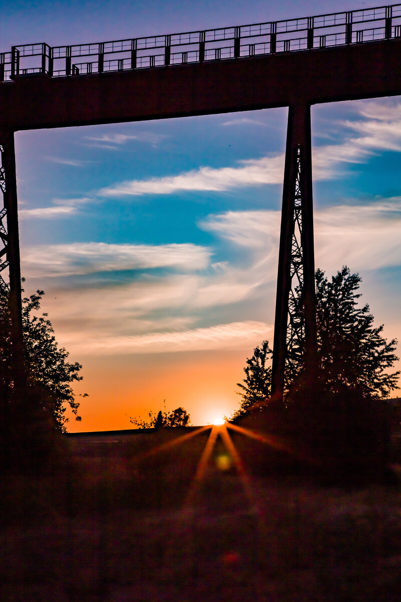 Vertical Trustle Shot.jpg