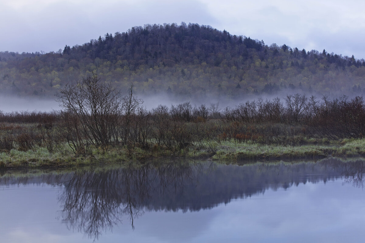 W Branch Sunrise May 9 22 along the river.jpg