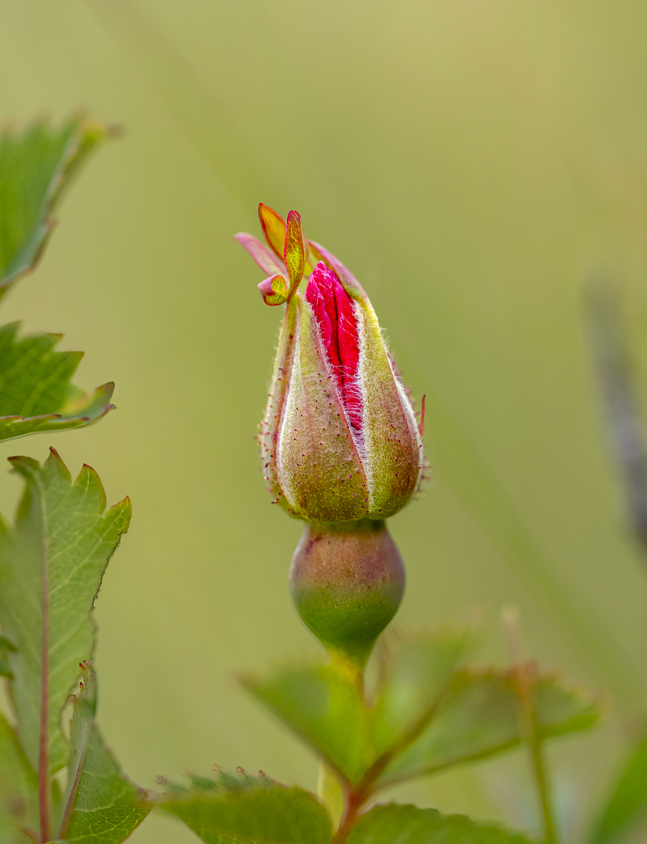 W1010245-Edit.jpg