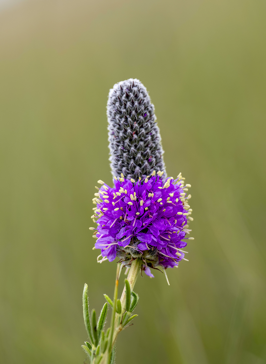 W1010248-Edit.jpg