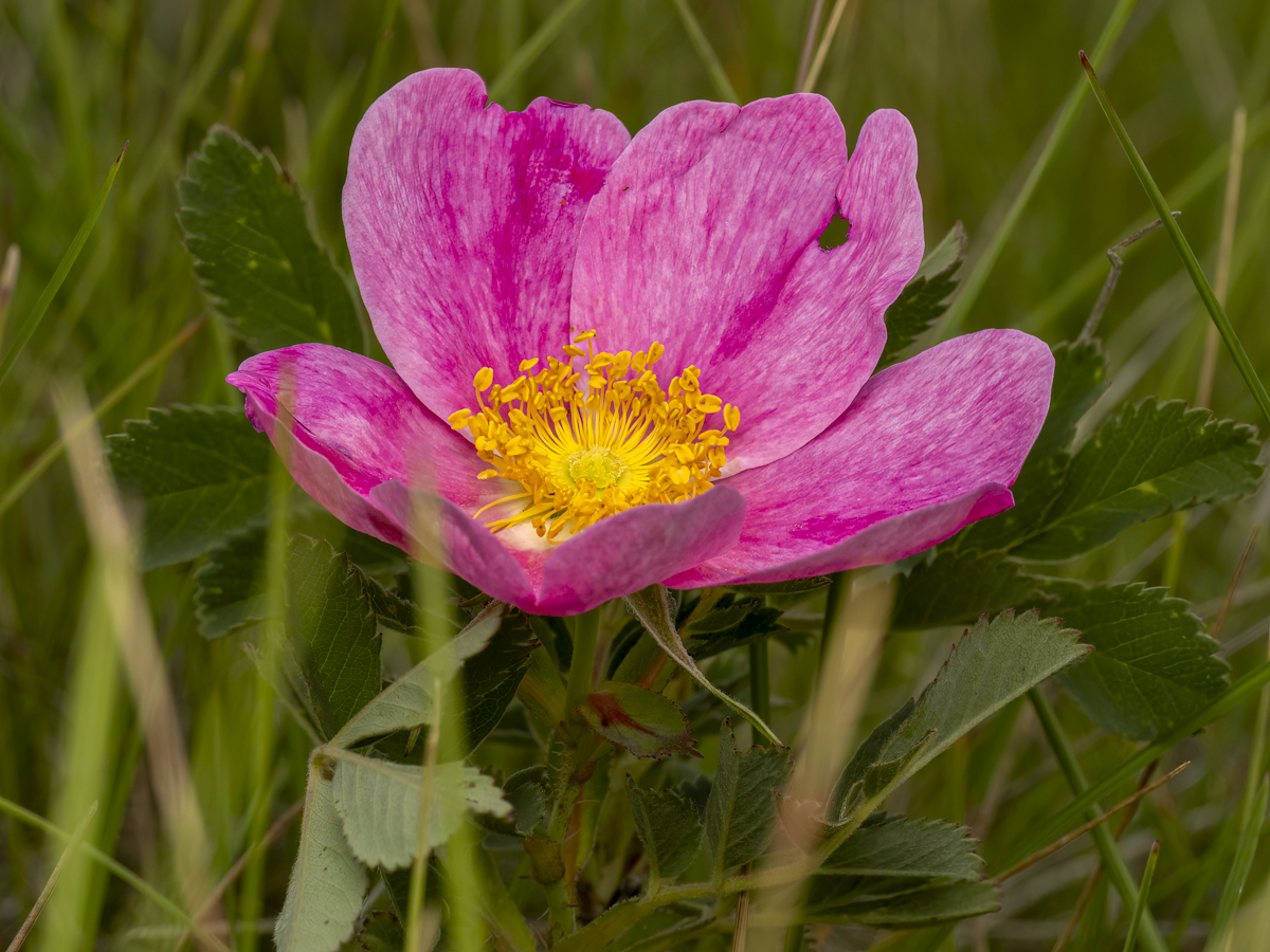 W1010255-Edit.jpg