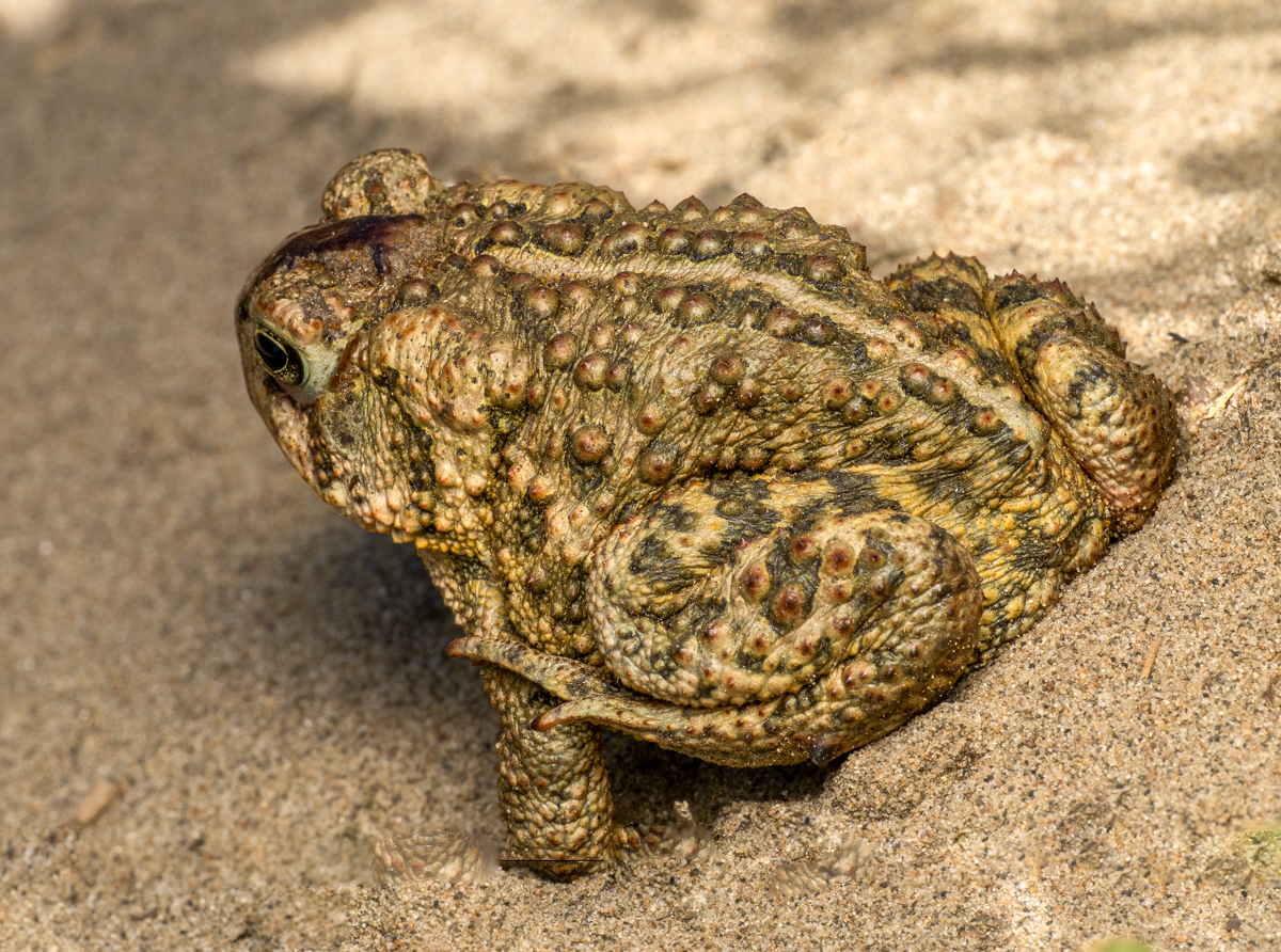 W1014798-Edit.jpg