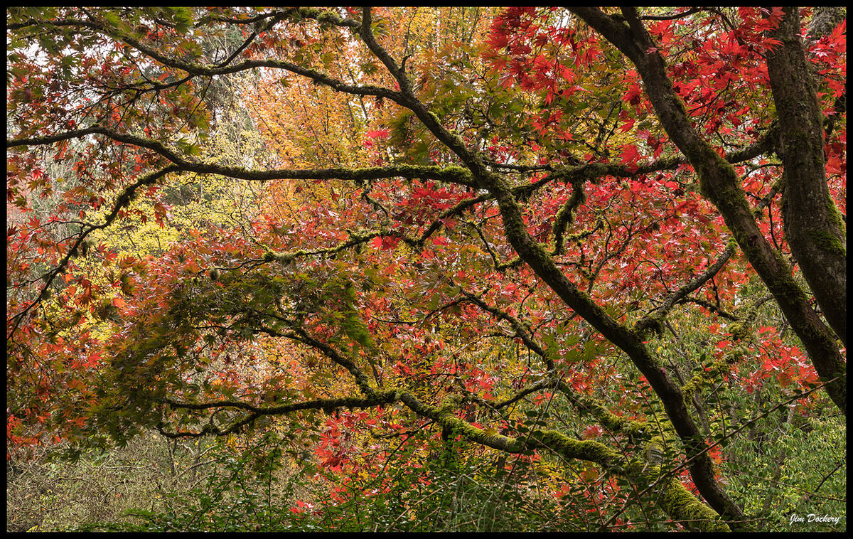 WA-Arboretum38-(2).jpg