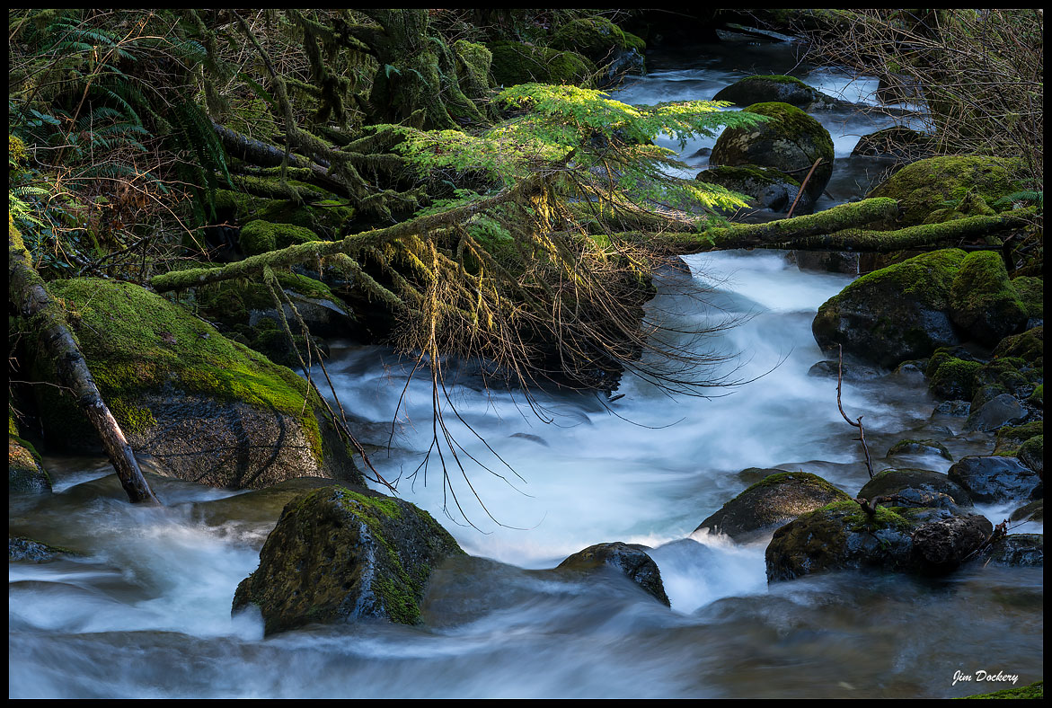 Wallace-Falls-(15).jpg