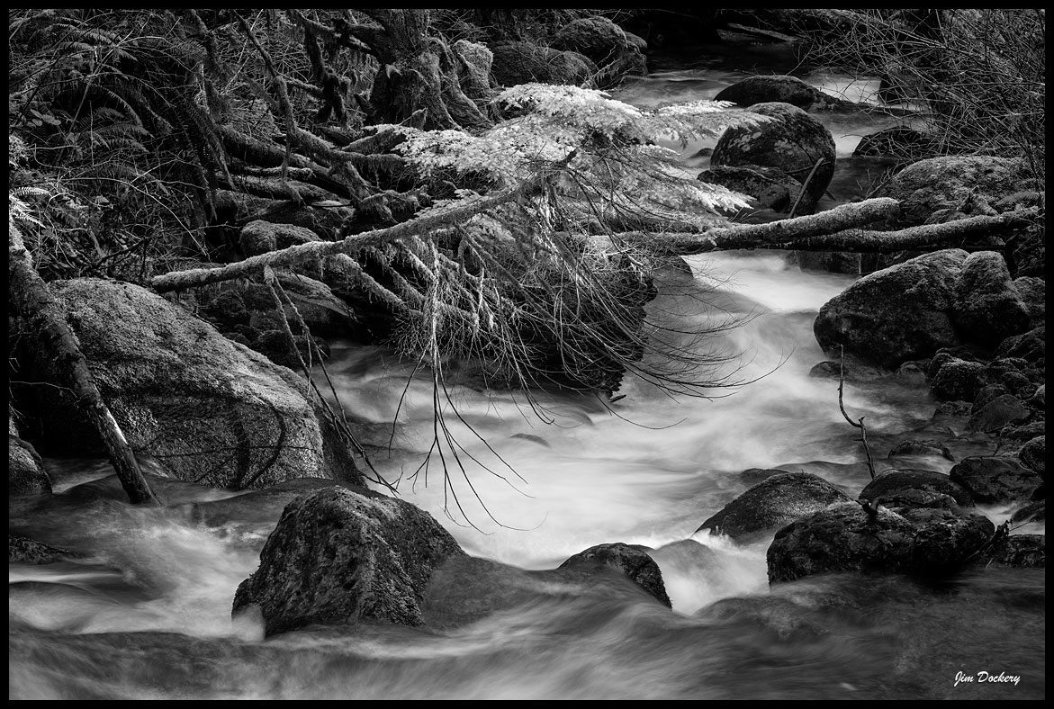 Wallace-Falls-(15bw).jpg