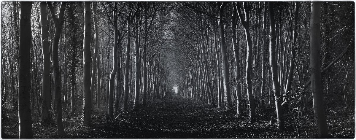 Wandlebury BW.jpg