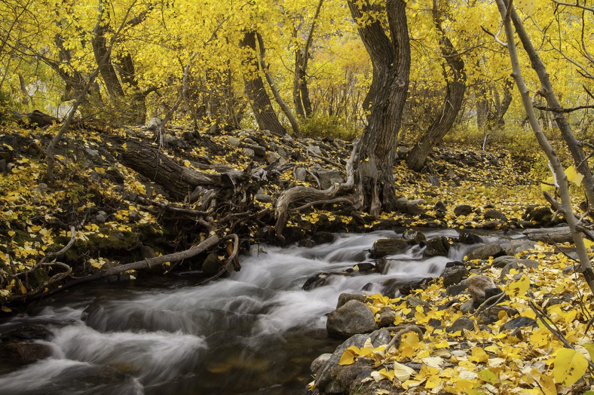 Water Fall - 03 .jpg