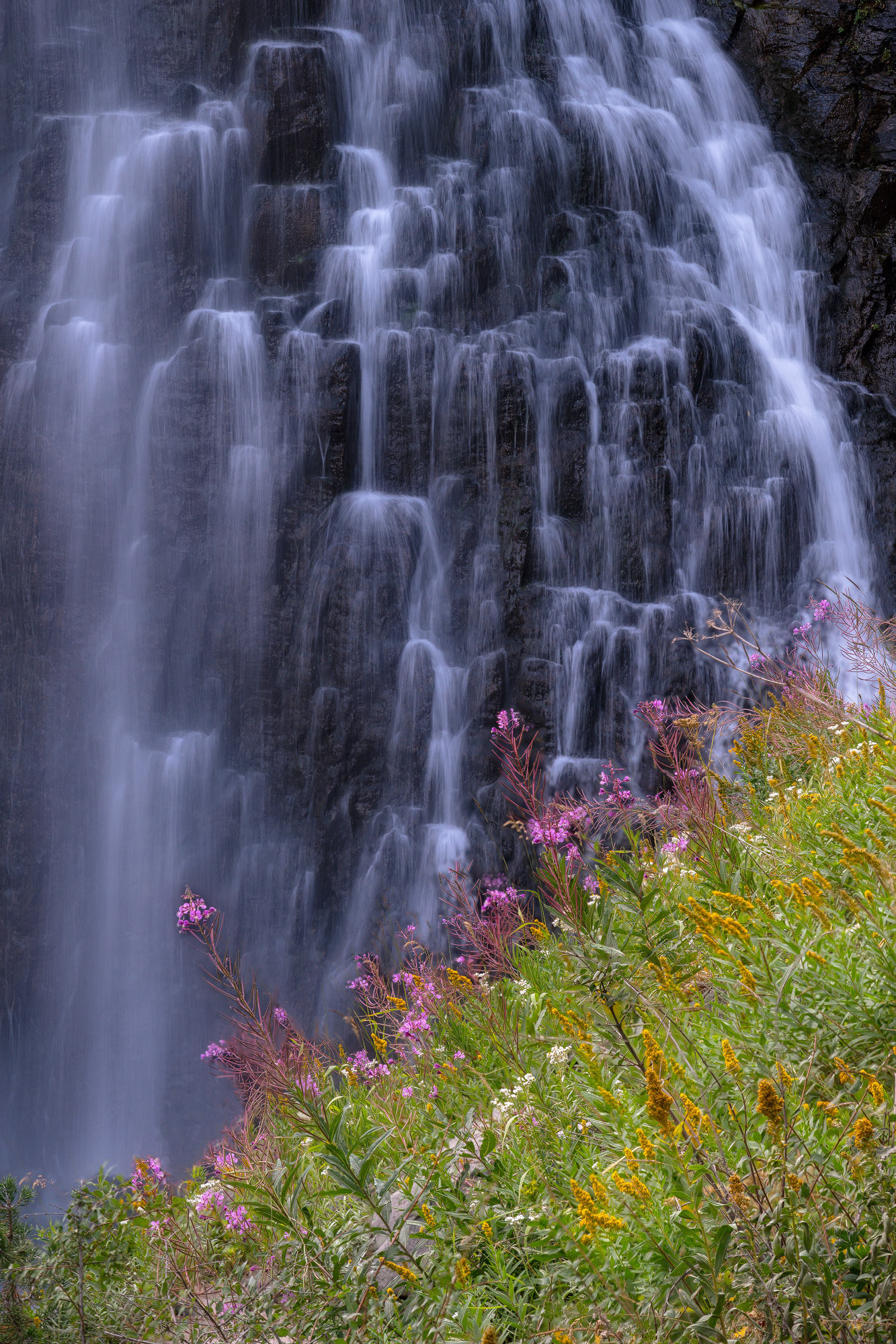 Watering the Flowers.jpg