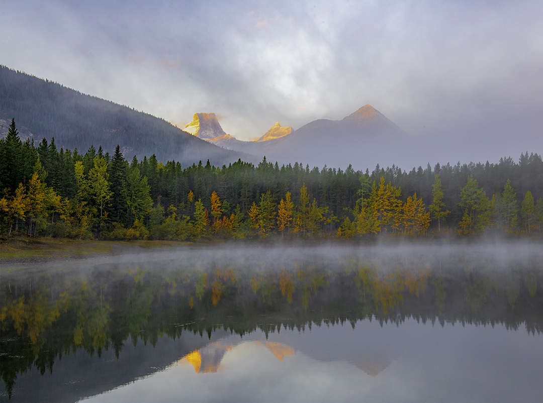 Wedge Pond Fog.jpg
