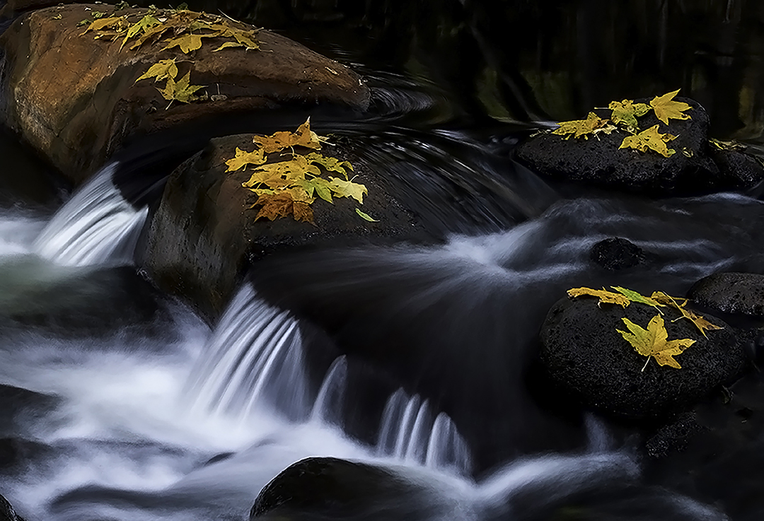 Wet Beaver Creek II.jpg