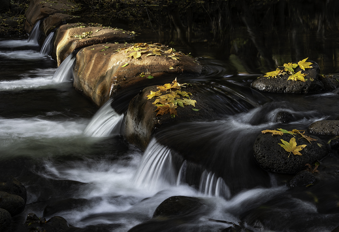 Wet Beaver Creek.jpg